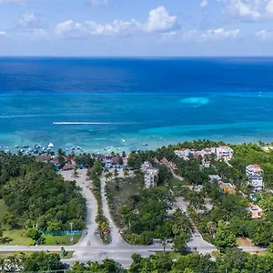 maia-suites-cozumel.allrivieramayahotels.com/